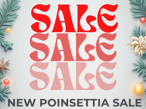 Event Image - 701QP000010O06cYAC